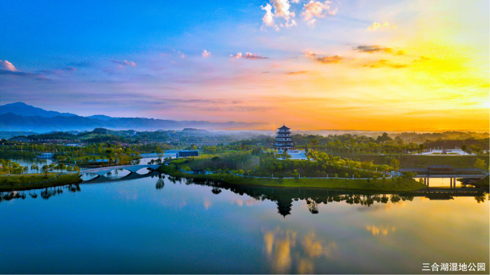 form, QGZF, 重庆奇策律 form, QGZF, 重庆奇策律