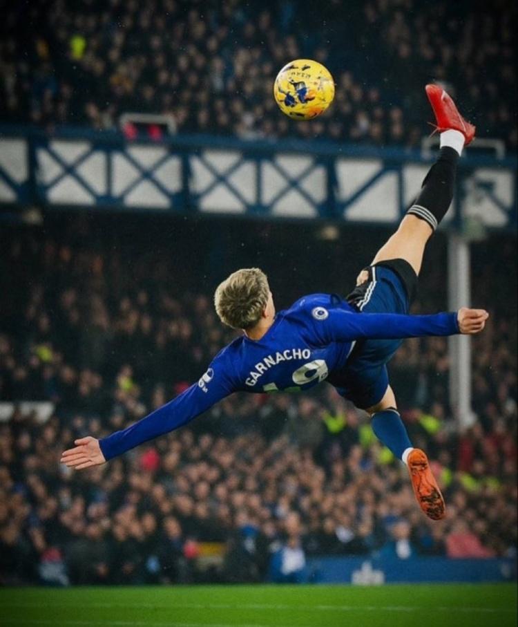 net, syrl, net net, syrl, net